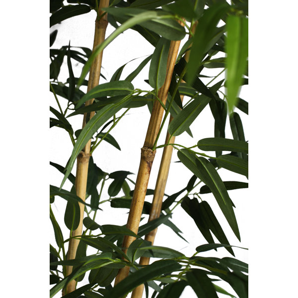 Laura Ashley Panama 57" Artificial Bamboo Tree & Reviews Wayfair